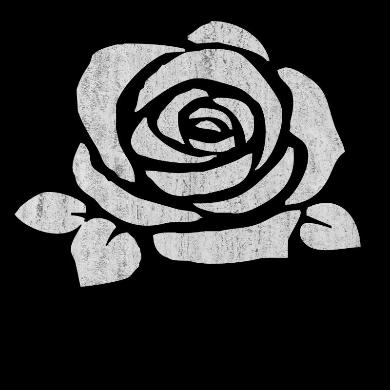 rose, roses, fleurs, fleurs, roses fleurs