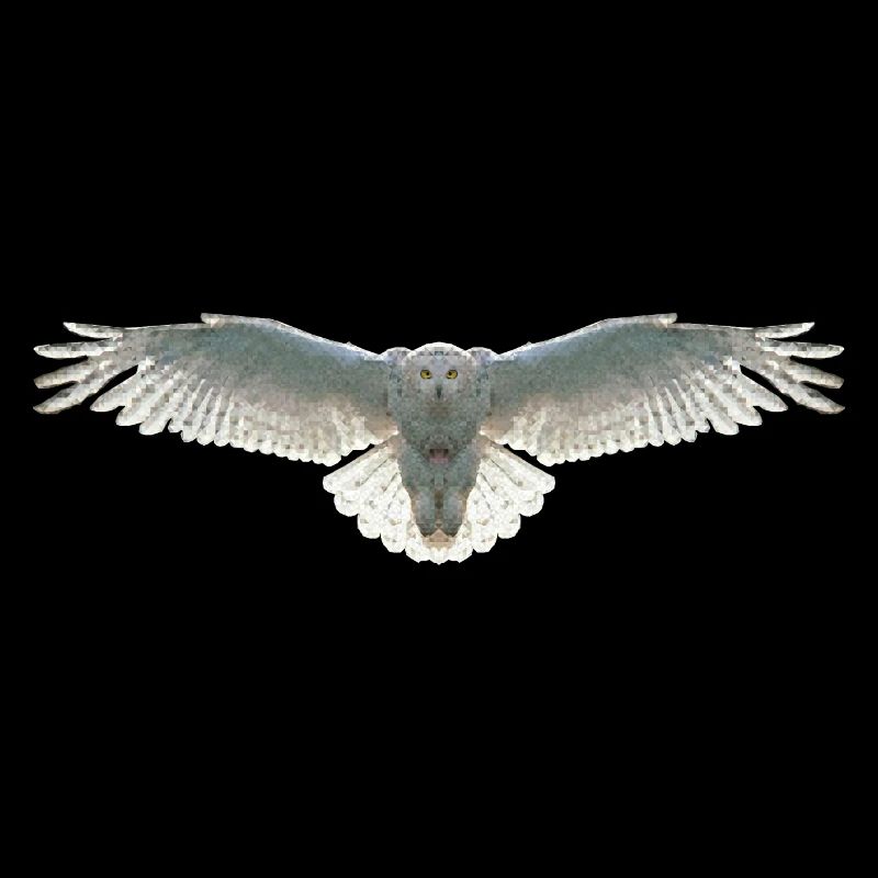 Schneeeule Eule Polygon Vogel Tier Wildtier Uhu