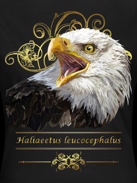 Bald eagle