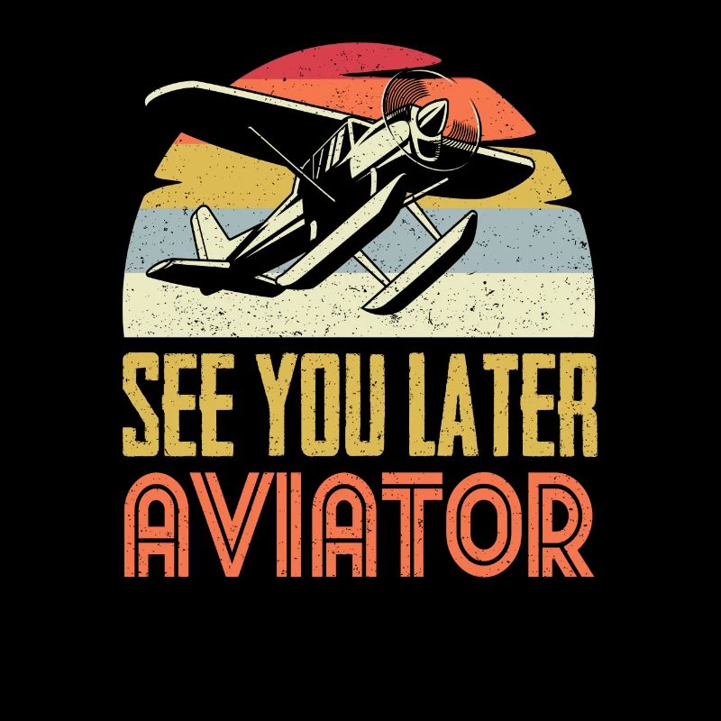Pilot Aviation