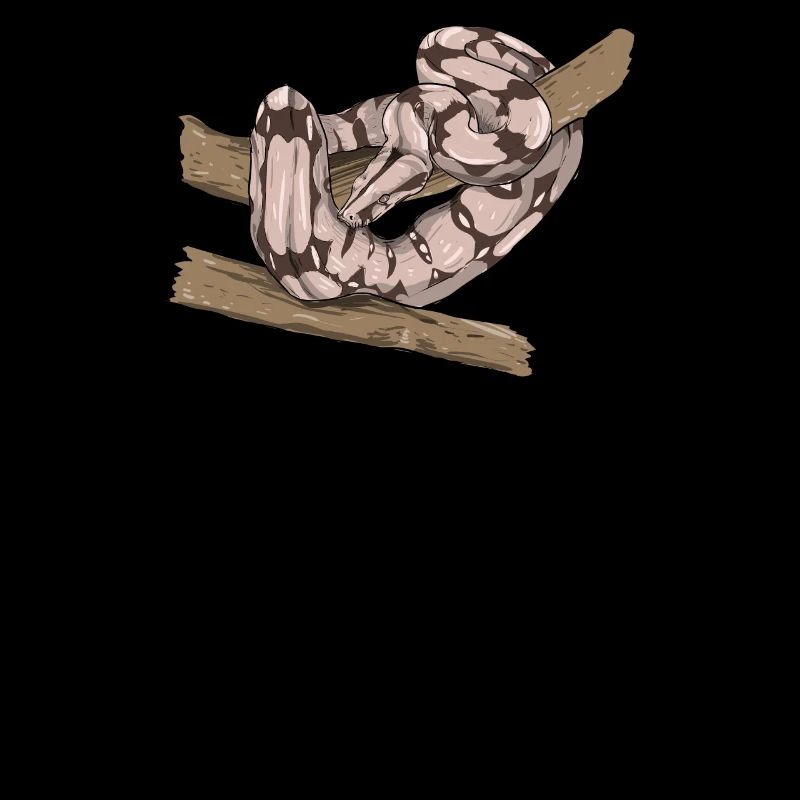 Boa Constrictor I Abgottschlange motif pour