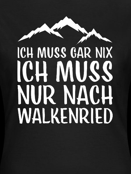 Walkenried I Harz Brocken Brockenbahn Walpurgis