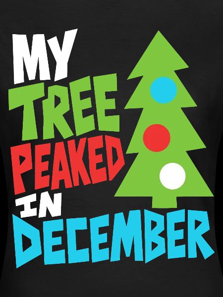 Weihnachtsbaum hatte im Dezember Hochsaison