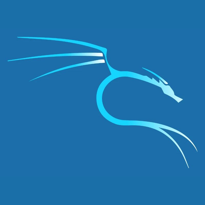 Kali Linux Dragon