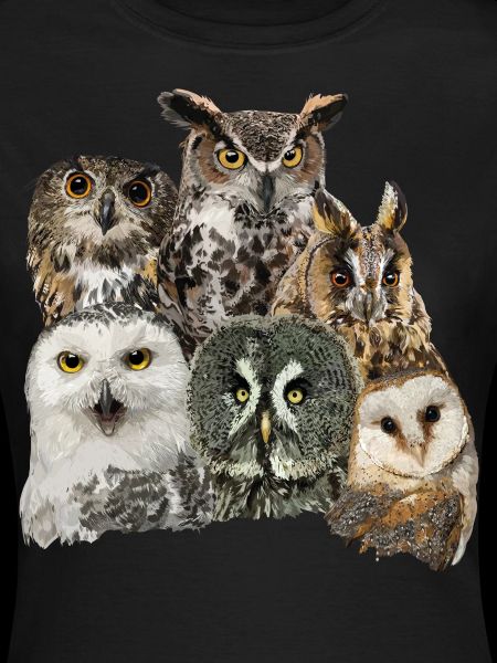 Owls