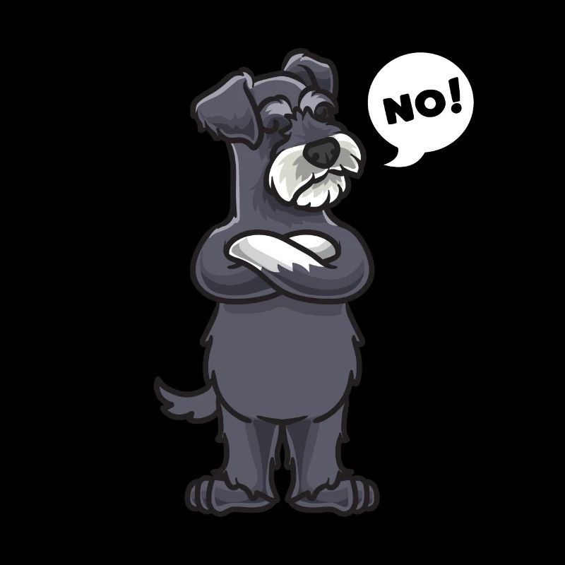 Stubborn miniature schnauzer