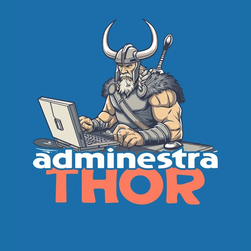 Viking Databaseadministra-thor Nerdy