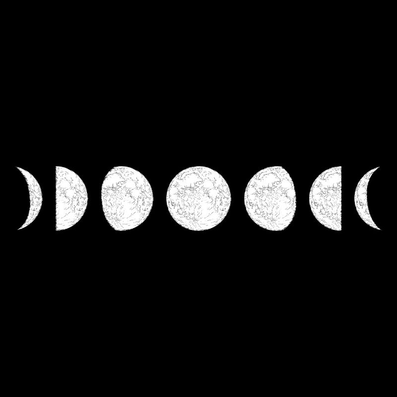 Moon Phase Circle Sequence