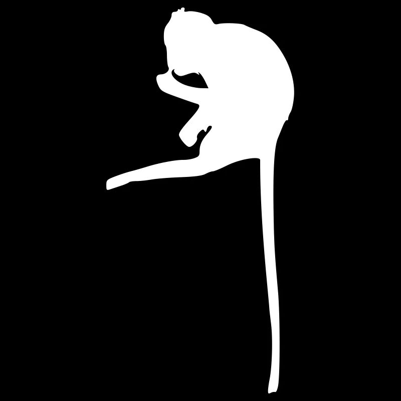 singe sur branche