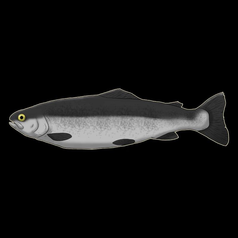 Poisson poisson