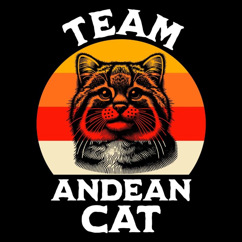 Chat Dicton du chat des Andes
