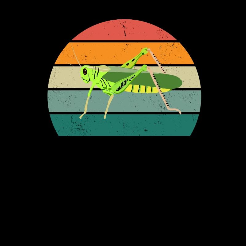 Insect crawling flies wings ants insects