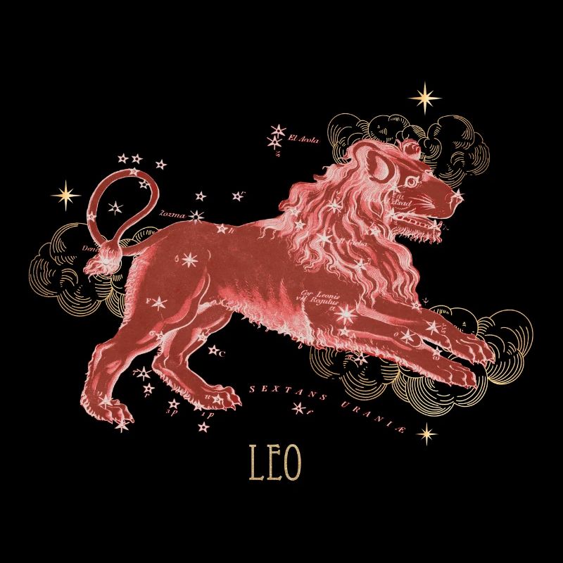 Leo Constellation Celestial Map