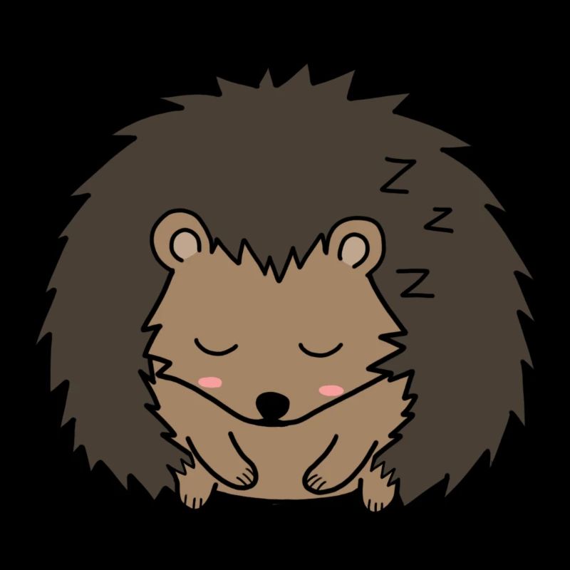 Sleeping hedgehog