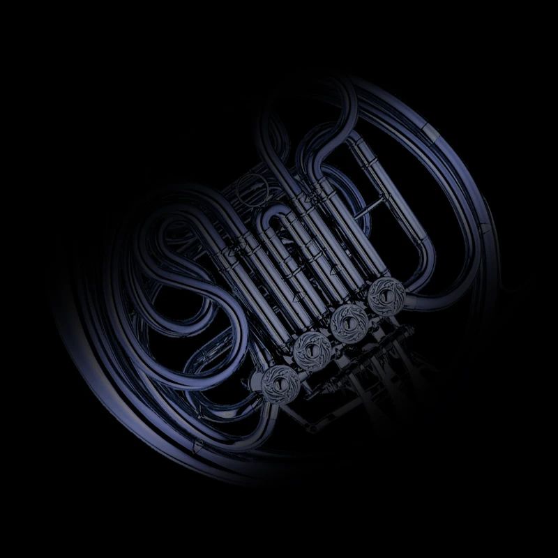 waldhorn french horn