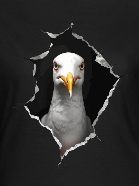 Möwe