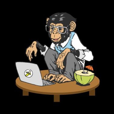 Progammers Monkey Code Monkey Coding Monkeys
