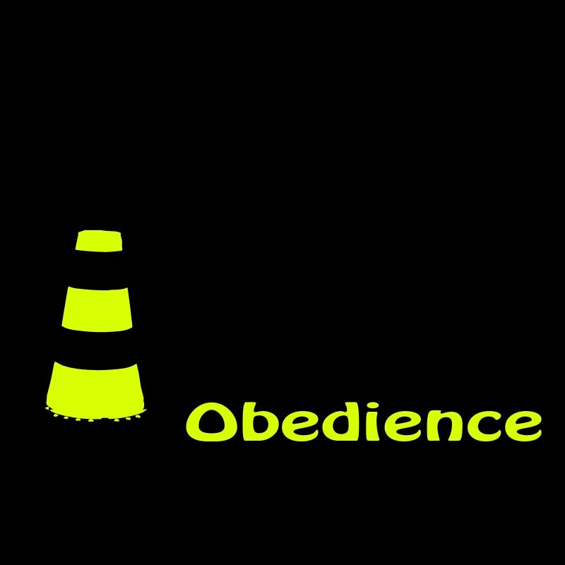 Obedience Malinois circles pylon