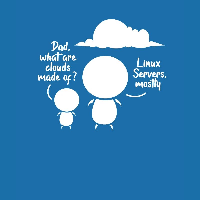 software developer