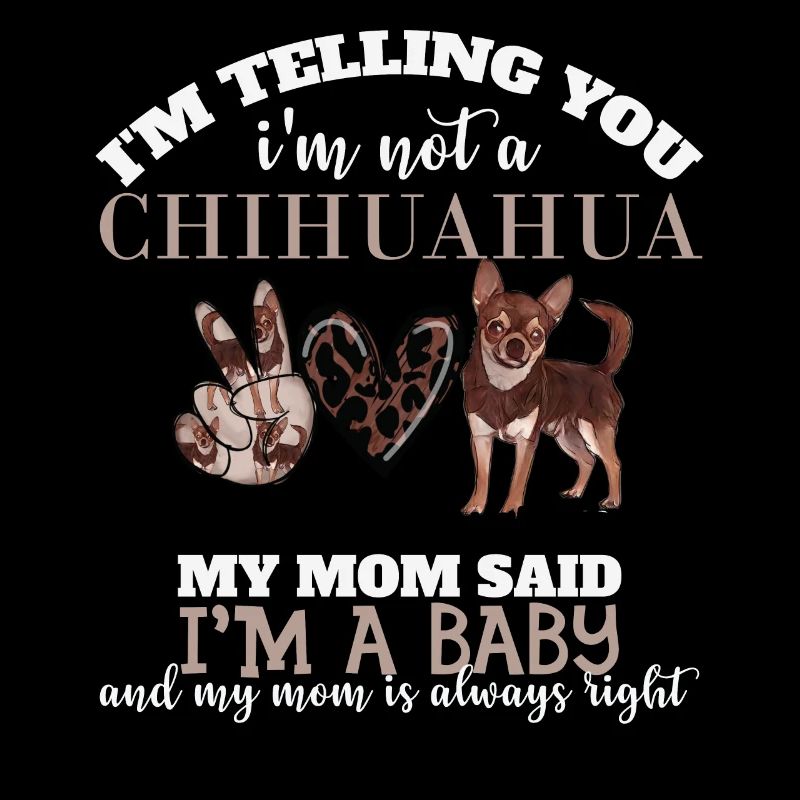 Chihuahua, Meine Mutter Sagte, Ich Sei Ein Baby