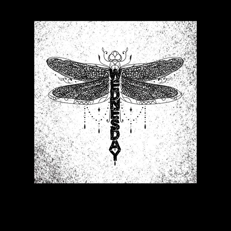 wednesday dragonfly