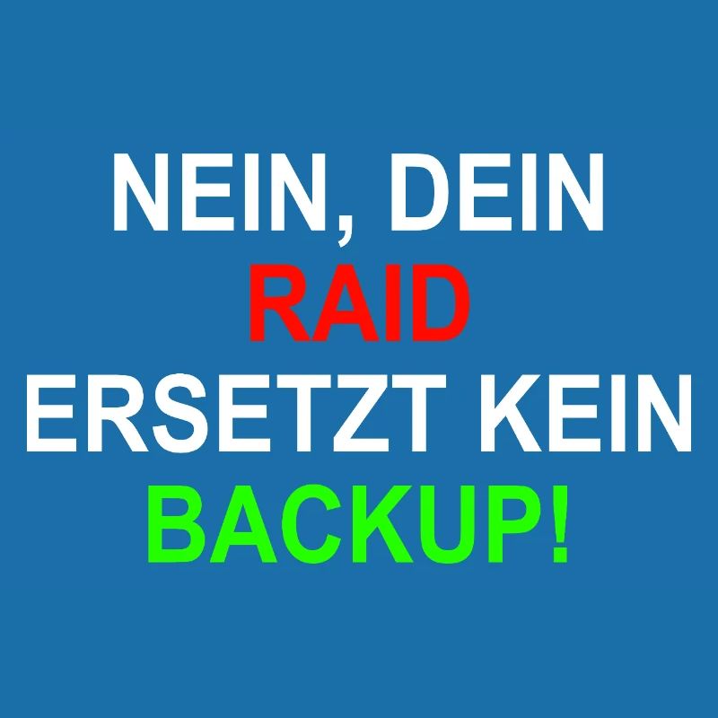 RAID BAckup Systemintegrator