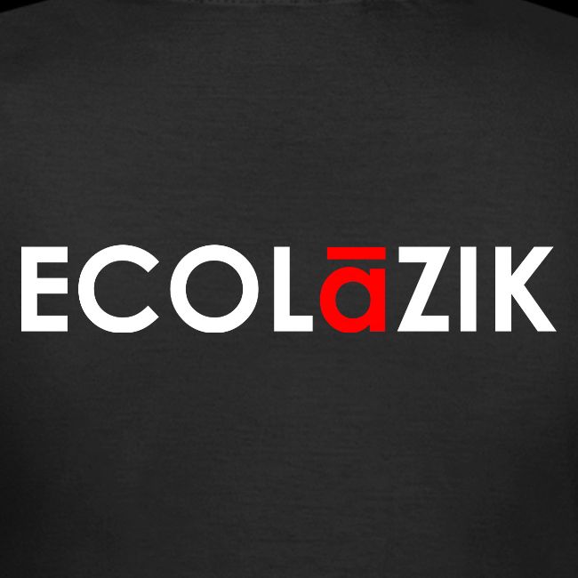 BaZ instruments de MUSIQUE - ECOLaZIK