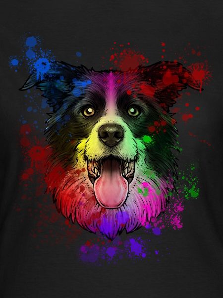 Australian Shepherd