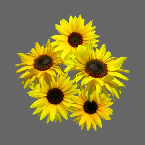 Sonnenblumenstrauss, Sonnenblume, Sonnenblumen - Frauen T-Shirt