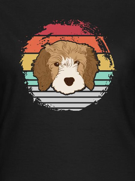 Cavapoo Hund