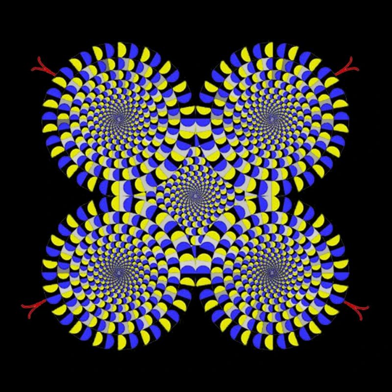 Cadeau Illusion d'optique Illusion de serpents