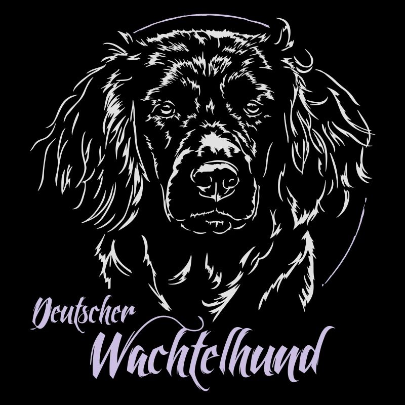 DEUTSCHER WACHTELHUND Jagdhund Wilsigns Jagdhunde