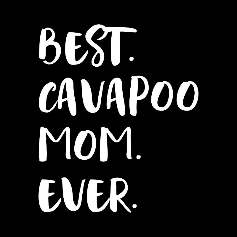 Cavapoo Cavoodle