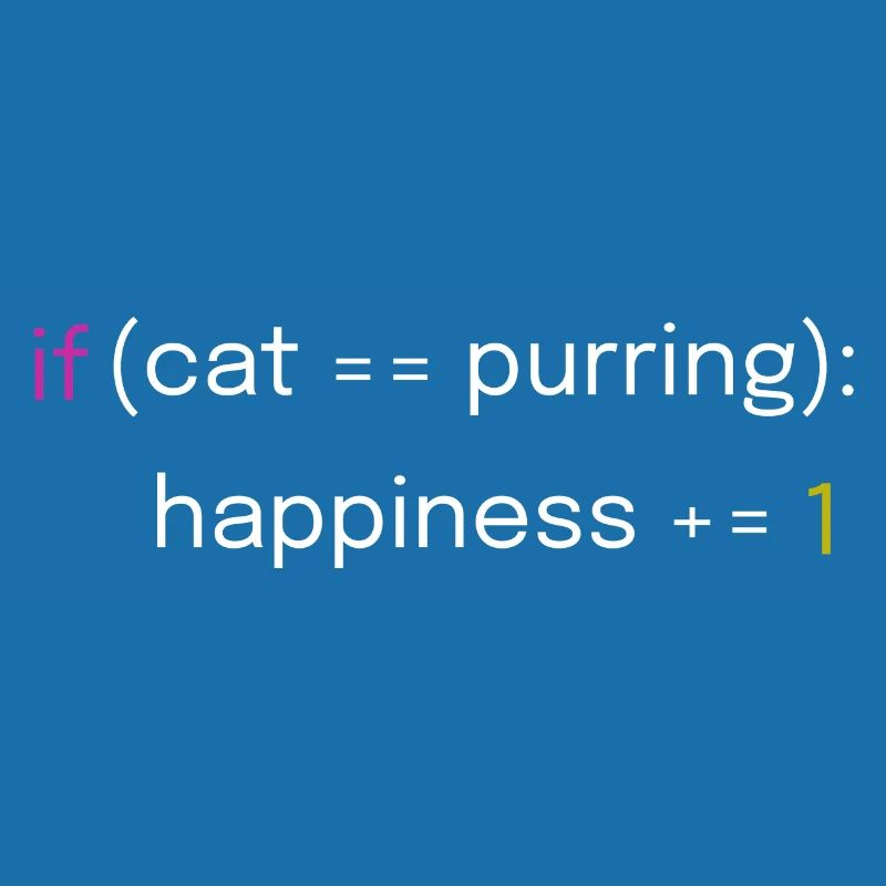 Conception de chat et de codage