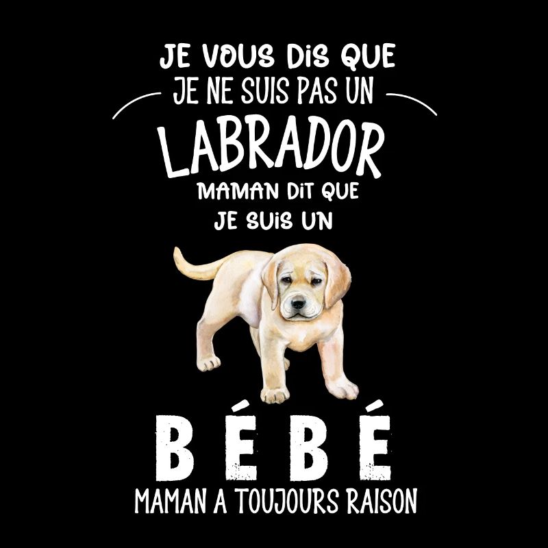 je ne suis pas un labrador
