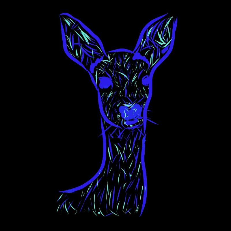 Roe deer