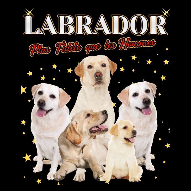 Labrador plus fidèle que les Hommes