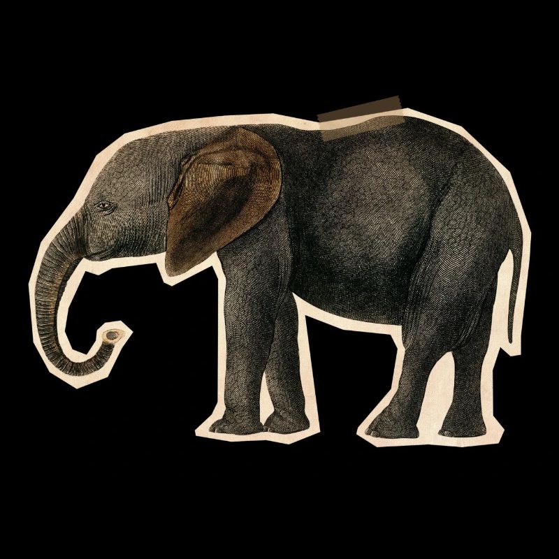 Éléphant avec du ruban adhésif