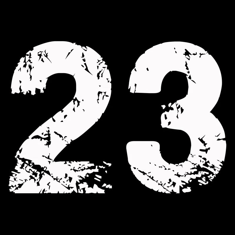 23