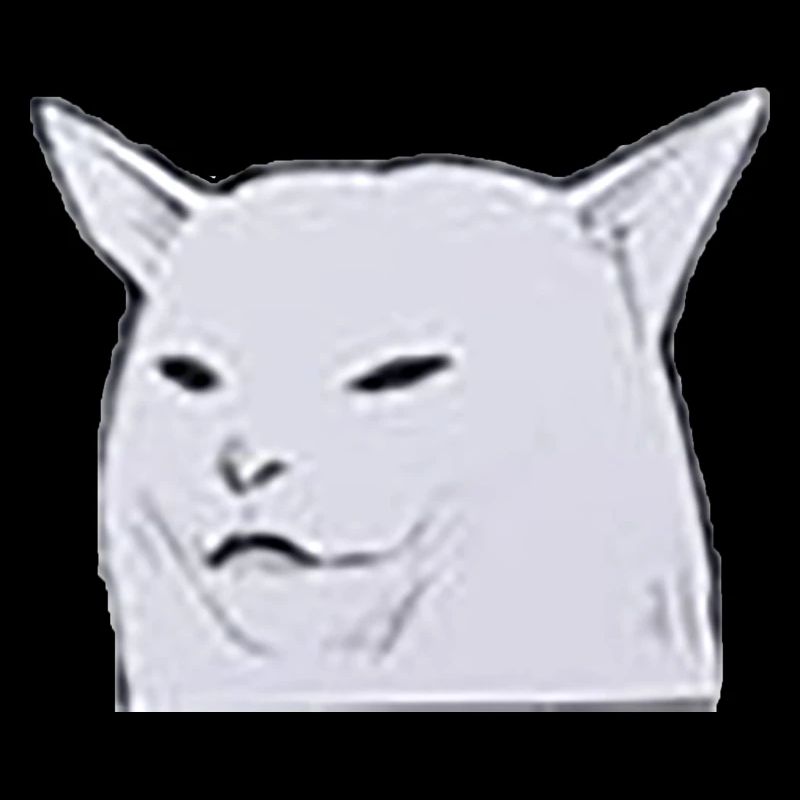 Confused Cat