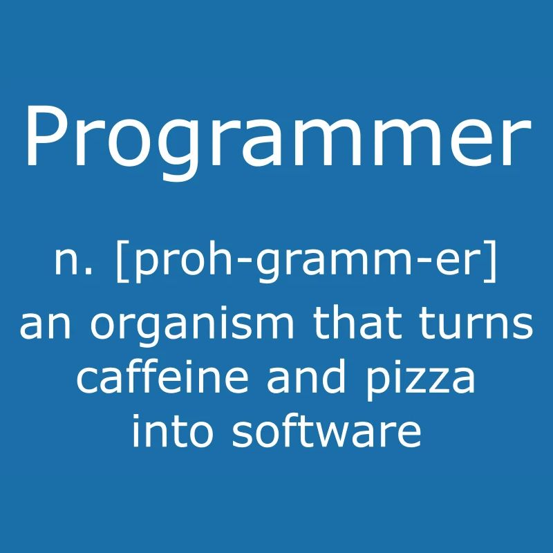 Programmer Programmierer