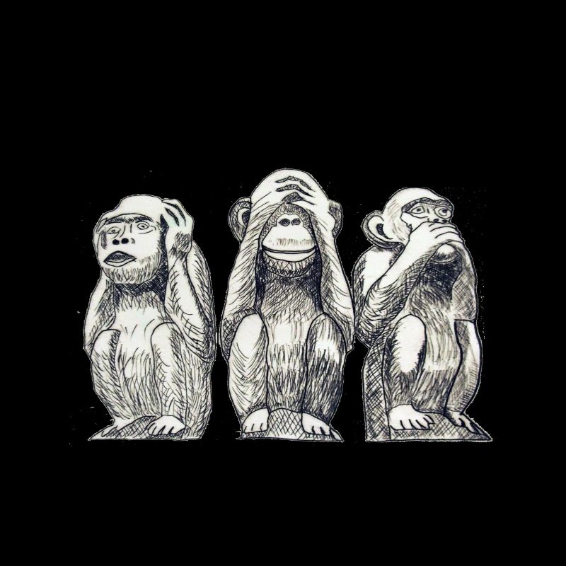 monkey