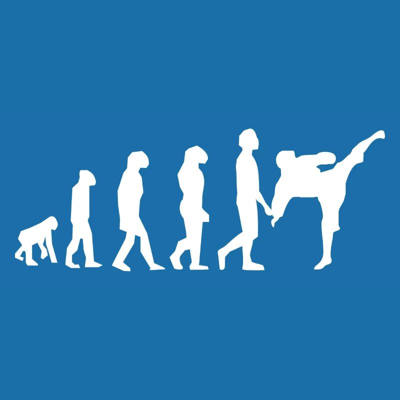 Art martiaux évolution