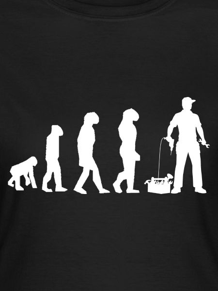 DIY evolution