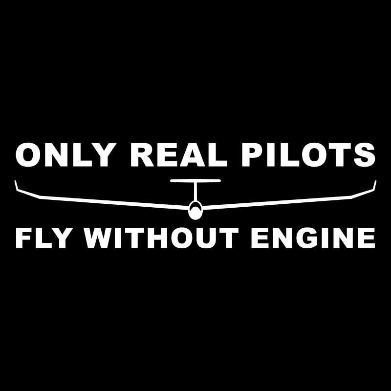 Pilot glider fly funny glider