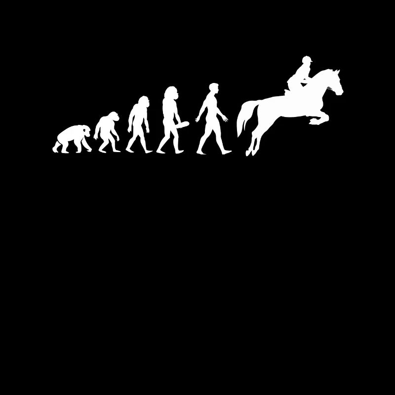 Pferd Evolution Springreiterin Reitsport