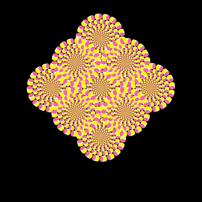 Perception Illusion d’optique Illusion