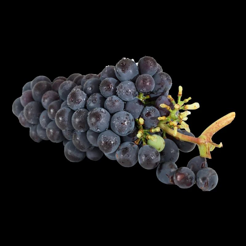 Tasty grapes