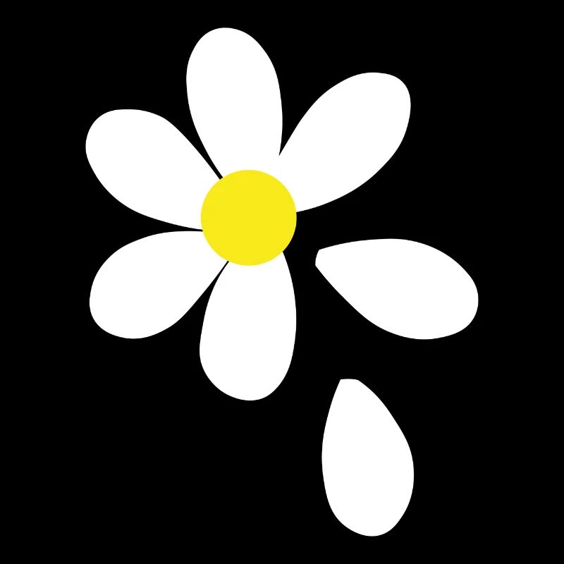Daisy gift