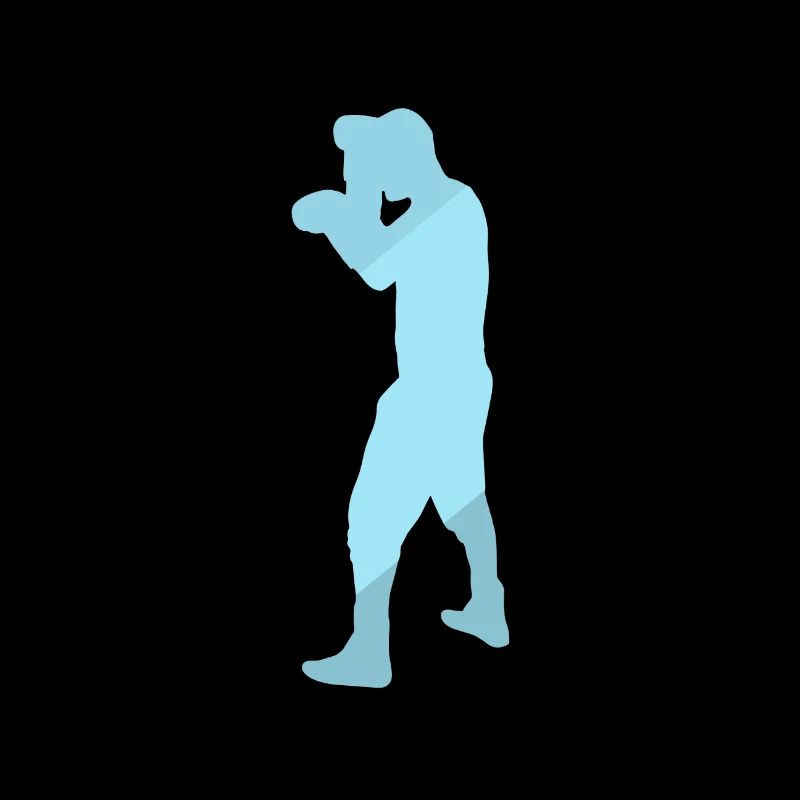 Striking Boxing Puncher
